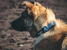 Stink-PROOF Collar