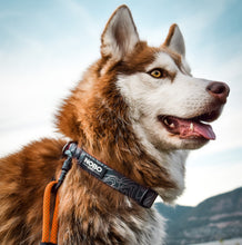 Stink-PROOF Collar
