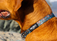 Stink-PROOF Collar