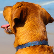 Tetons Line š | Stink-PROOF Collar