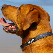 Tetons Line š | Stink-PROOF Collar