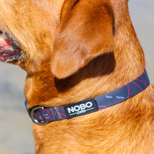 Tetons Line š | Stink-PROOF Collar