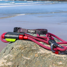 Leash + Collar Bundle