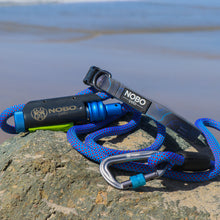 Leash + Collar Bundle