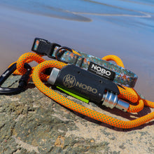 Leash + Collar Bundle