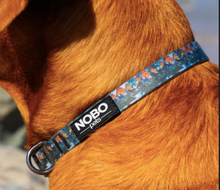 Stink-PROOF Collar