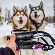 Two Leashes in Snow
