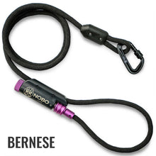 Bernese Product Image