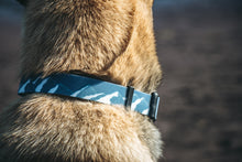Stink-PROOF Collar