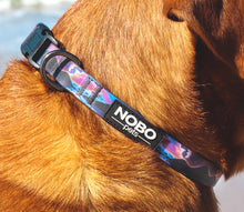 Limited Edition | Local Artist | Stink-PROOF Collars