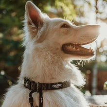 Stink-PROOF Collar