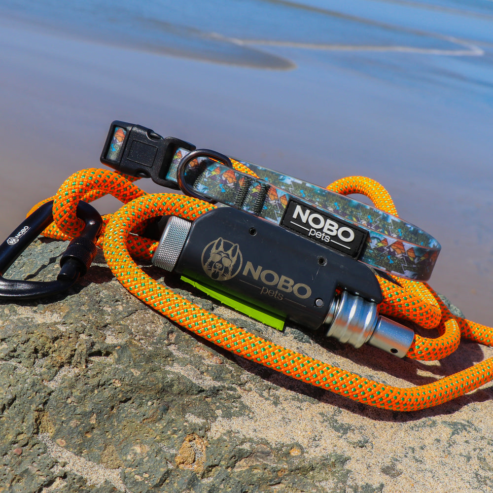 Leash + Collar Bundle